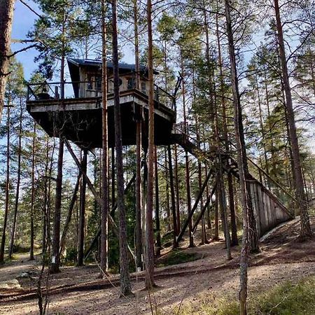 Tretopphytter Pa Grensen - Elghytta Med Robat Og Gjeddefiske Halden Exterior foto