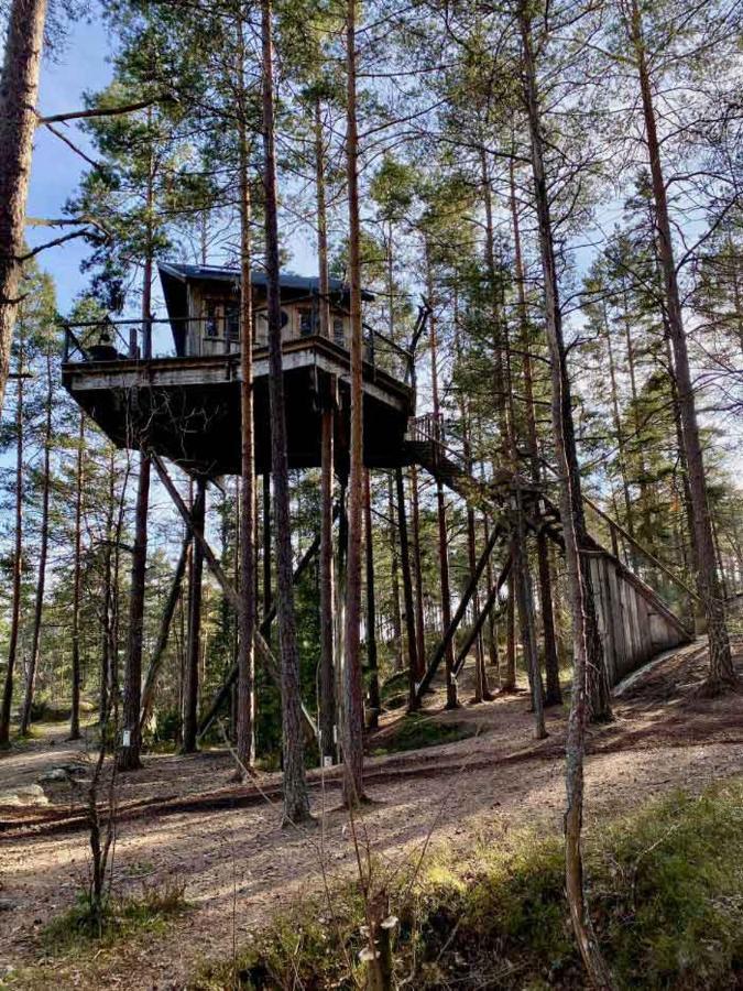 Tretopphytter Pa Grensen - Elghytta Med Robat Og Gjeddefiske Halden Exterior foto