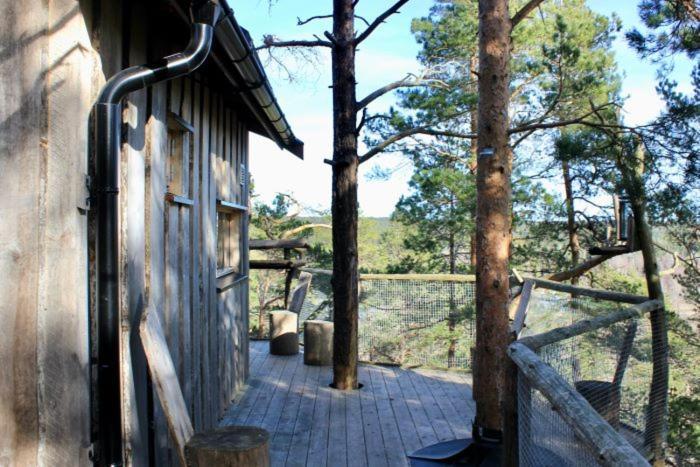 Tretopphytter Pa Grensen - Elghytta Med Robat Og Gjeddefiske Halden Exterior foto
