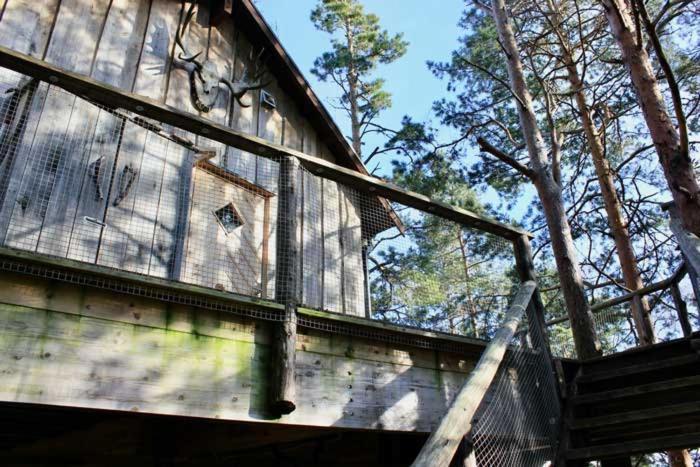 Tretopphytter Pa Grensen - Elghytta Med Robat Og Gjeddefiske Halden Exterior foto
